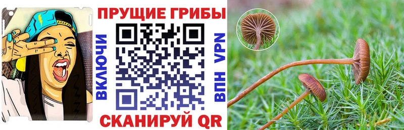 Галлюциногенные грибы Magic Shrooms  Камешково 
